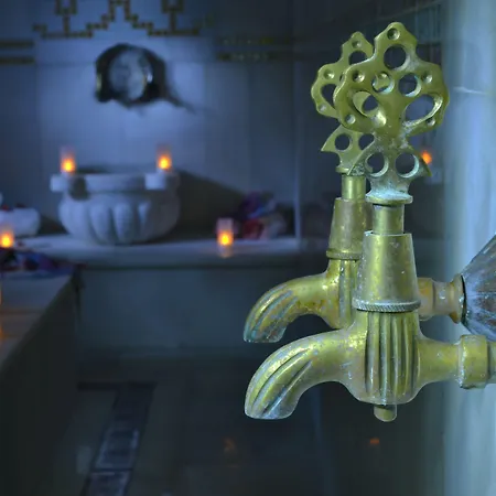 Sevcan איסטמבול