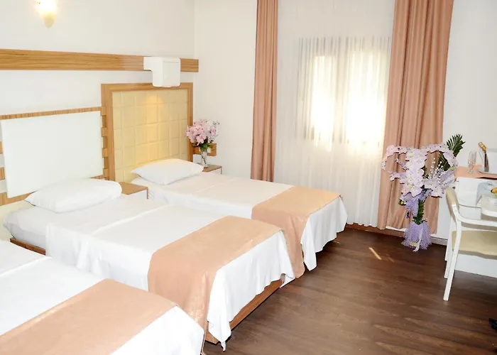 Sevcan Istanbulská provincie