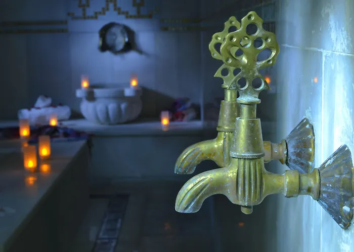 Sevcan Istanbulská provincie